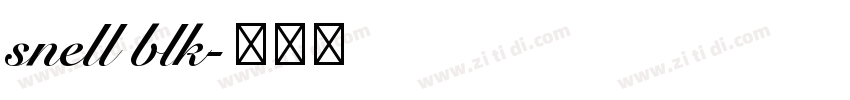 snell blk字体转换